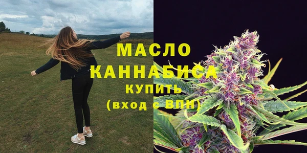 амф Дмитров
