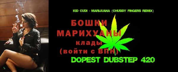 амф Дмитров