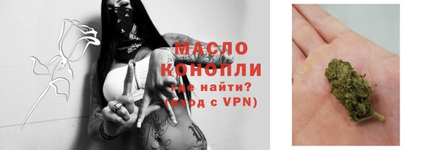амф Дмитров