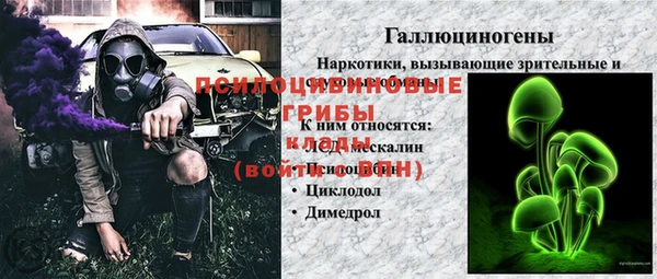 молекула духа Дмитриев