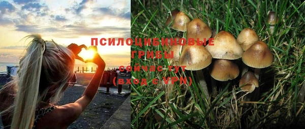 мет Дмитровск