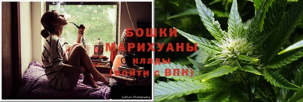 амф Дмитров