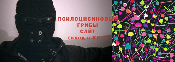 дмт Дрезна