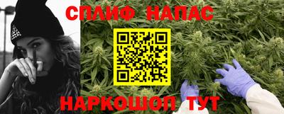 прущие грибы Гусев