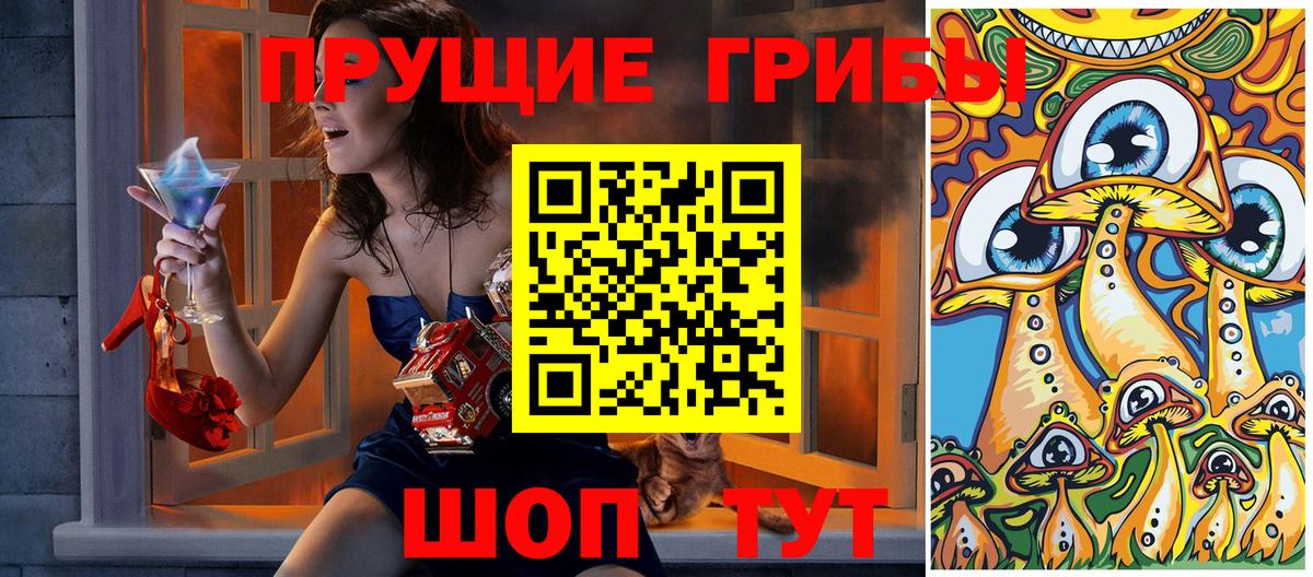 Галлюциногенные грибы Cubensis Вольск