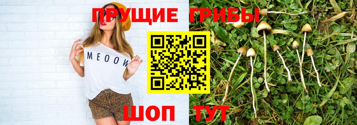 Галлюциногенные грибы GOLDEN TEACHER Вольск