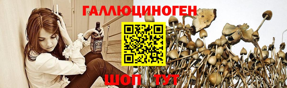 Псилоцибиновые грибы ЛСД  Вход с VPN  Вольск 